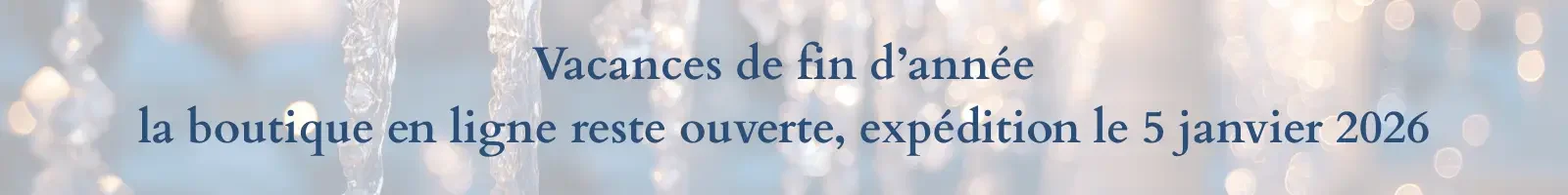 Fermeture annuelle, la boutique en ligne reste ouverte, expédition le 5 janvier 2026 (2)